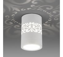 Светодиодный стационарный светильник Elektrostandard DLS025 белый a047684