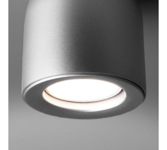Накладной светильник Elektrostandard DLN116 GU10 серебро a050674