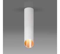 Накладной светильник Elektrostandard DLN115 GU10 белый, золото a050121