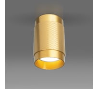 Накладной светильник Elektrostandard GU10 золото DLN109 a047741