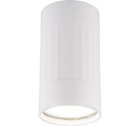 Накладной светильник Elektrostandard GU10 белый DLN111 a047754