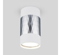 Накладной светильник Elektrostandard DLN110 GU10 белый, серебро a047744