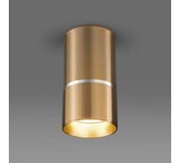 Накладной светильник Elektrostandard DLN106 GU10 золото a047732