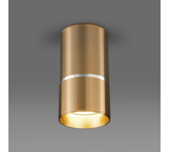 Накладной светильник Elektrostandard DLN106 GU10 золото a047732 1