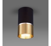 Накладной светильник Elektrostandard GU10 черный, золото DLN106 a047729