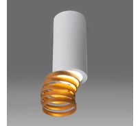 Накладной светильник Elektrostandard GU10 белый, золото DLN102 a047748