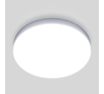 Светодиодный стационарный светильник Elektrostandard DLR043 a047940