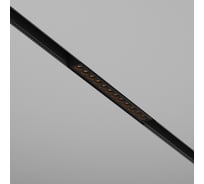 Трековый светильник MAYTONI Points Exility 2700K 12Вт 36 TR031-2-12W2.7K-B