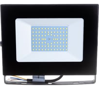 Светодиодный прожектор ECON LED 100W FL5 FL5100W