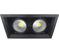 Встраиваемый карданный светильник IMEX LED 2х20W, BK IL.0006.2200
