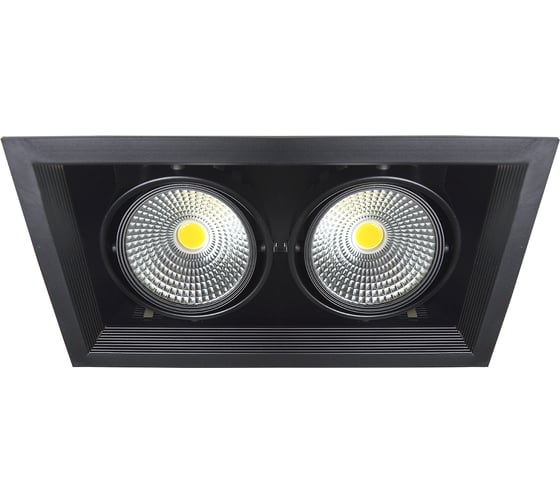 Встраиваемый карданный светильник IMEX LED 2х20W, BK IL.0006.2200