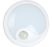 Светильник с датчиком движения ЧИНГИСХАН 6 LED, 1Вт, 4АА, пластик 222-004