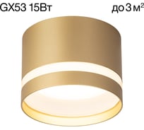 Светильник накладной Citilux Hardy Золото CL002C12