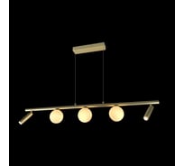 Подвесной светодиодный светильник iLEDEX Telescope C4774-100 SGD