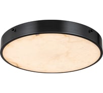 Потолочный светодиодный светильник Belfasteon Devon 3395-4 BL MB