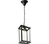 Светильник садово-парковый FERON PL755 на цепочке 60W E14 230V, черный, 51281