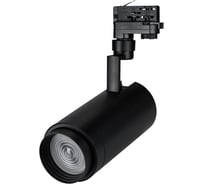 Светильник Arlight LGD-ZEUS-4TR-R100-30W Day BK, 20-60 deg 024633 Аркон