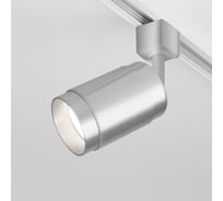 Потолочный светильник Elektrostandard Tony, серебро GU10 MRL 1012 a048162