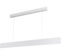 Светильник Arlight SP-BLADE-S1000x80-30W Day4000 WH, 110 deg 027599 Аркон