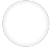 Светильник Smartbuy LED14W Wt SBL-White-14-Wt-6K