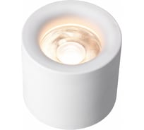 Накладной светодиодный светильник iLEDEX Metrica 113-12W-D100-3000K-24DG-WH