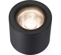 Накладной светодиодный светильник iLEDEX Metrica 113-12W-D100-3000K-24DG-BK