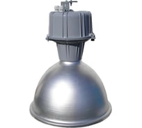 Светильник ЭЛЕТЕХ Ангар В РСП 08-250-201 мод.010 IP23 универс ИУ 1030550128