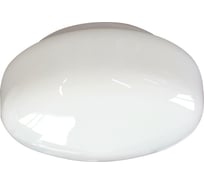 Светильник ЭЛЕТЕХ Берет 250 НПО 22-100-230 опал ГУ 1005150518