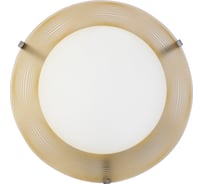 Светильник ЭЛЕТЕХ Колорика Клэр 225 LED 12 M04 мат. бел.-абрикос 225х55, 12Вт 4000К/ ИУ 1030450468