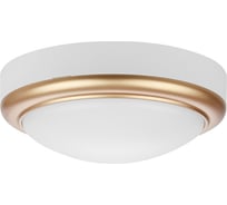 Светильник накладной LED ДПО TDM ELECTRIC АнтареС 15Вт 6500К круг 180x66 мм мат.золото IP54 TDM SQ0354-0026