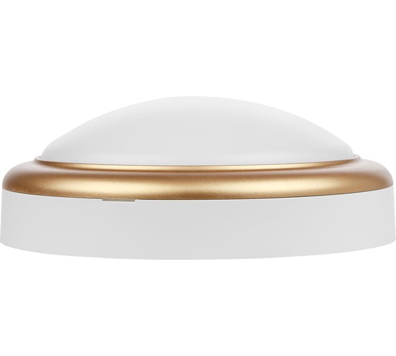 Светильник накладной LED ДПО TDM ELECTRIC АнтареС 15Вт 6500К круг 180x66 мм мат.золото IP54 TDM SQ0354-0026