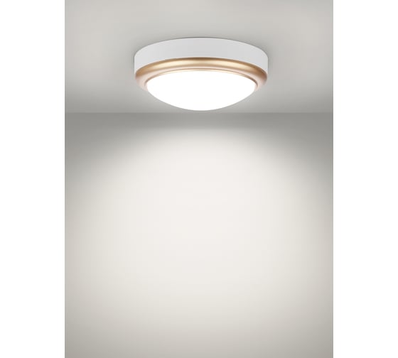 Светильник накладной LED ДПО TDM ELECTRIC АнтареС 15Вт 6500К круг 180x66 мм мат.золото IP54 TDM SQ0354-0026