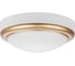 Светильник накладной LED ДПО TDM ELECTRIC АнтареС 15Вт 6500К круг 180x66 мм мат.золото IP54 TDM SQ0354-0026 1
