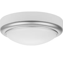 Светильник накладной LED ДПО TDM ELECTRIC Антарес 15Вт 6500К круг 180x66 мм мат.серебро IP54 TDM SQ0354-0027
