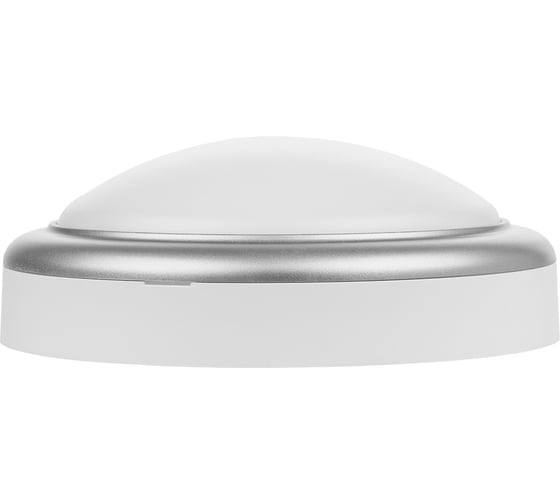 Светильник накладной LED ДПО TDM ELECTRIC Антарес 15Вт 6500К круг 180x66 мм мат.серебро IP54 TDM SQ0354-0027
