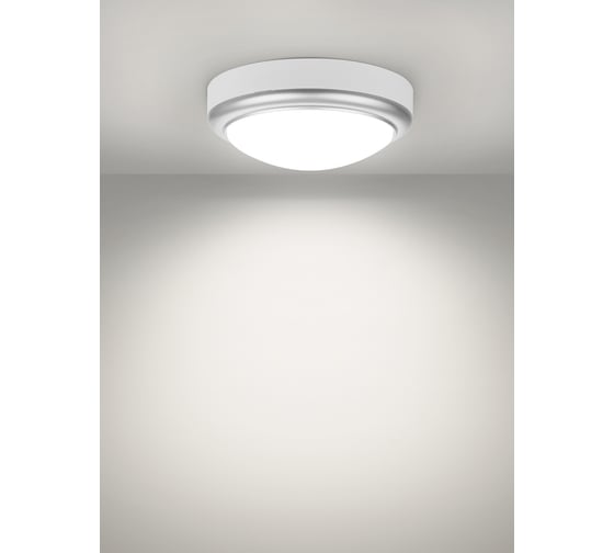 Светильник накладной LED ДПО TDM ELECTRIC Антарес 15Вт 6500К круг 180x66 мм мат.серебро IP54 TDM SQ0354-0027