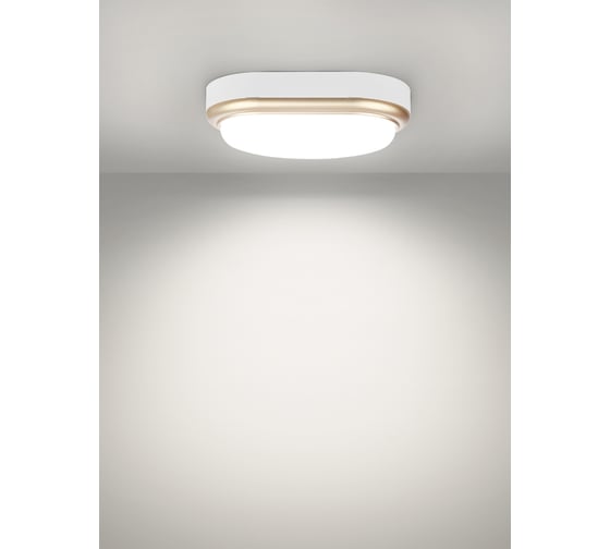 Светильник накладной LED ДПО TDM ELECTRIC Антарес 15Вт 6500К овал 221x131x68 мм мат.золото IP54 TDM SQ0354-0028