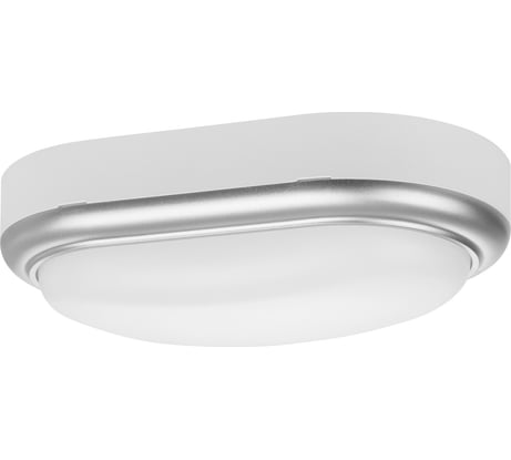 Светильник накладной LED ДПО TDM ELECTRIC Антарес 15Вт 6500К овал 221x131x68 мм мат.серебро IP54 TDM SQ0354-0029