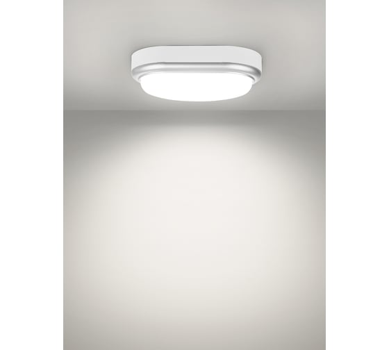 Светильник накладной LED ДПО TDM ELECTRIC Антарес 15Вт 6500К овал 221x131x68 мм мат.серебро IP54 TDM SQ0354-0029