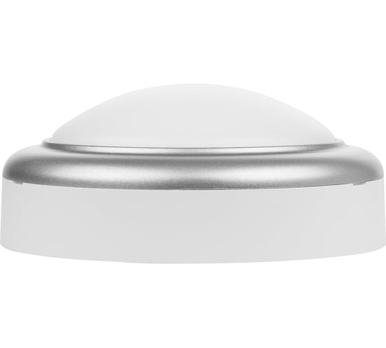 Светильник накладной LED ДПО TDM ELECTRIC Антарес 8Вт 6500К круг 140x58 мм мат.серебро IP54 TDM SQ0354-0022