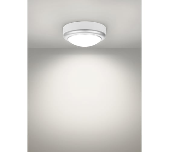 Светильник накладной LED ДПО TDM ELECTRIC Антарес 8Вт 6500К круг 140x58 мм мат.серебро IP54 TDM SQ0354-0022