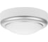 Светильник накладной LED ДПО TDM ELECTRIC Антарес 8Вт 6500К круг 140x58 мм мат.серебро IP54 TDM SQ0354-0022 1