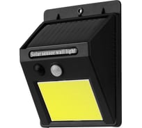 Светильник настенный TDM ELECTRIC "Феникс 1" на солнечной батарее с датчиком движения, 1 Вт, IP65, пластик, черный, TDM SQ0330-0176