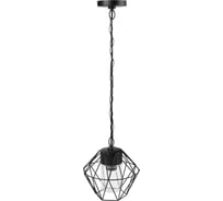 Светильник уличный TDM ELECTRIC "Доминго" 60 Вт, подвес, металл, черный, Е27 SQ0330-0264