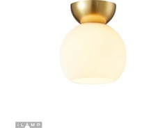 Потолочный светильник iLAMP Mono C6079-1 GD+WH