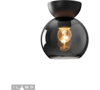 Потолочный светильник iLAMP Mono C6079-1 BK+SM