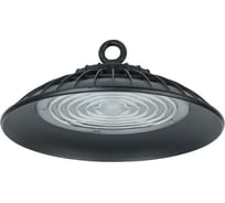 Светильник IEK ДСП 3017 PRO, 100Вт, 90градусов, 4000К, IP65 LDSP0-3017-100-090-K23