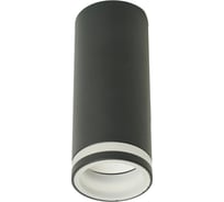 Светильник потолочный FERON ML100 Barrel LUNA MR11 GU10 35W 230V, черный, 51369