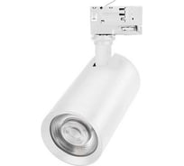 Светильник Arlight LGD-CALIPSO-4TR-R85-20W Day4000-MIX, IP20 Металл 1шт 046739