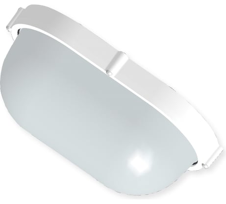 Светильник ЭЛЕТЕХ Банник 1201 Овал большой НПП 03-100-017 IP65 матовый /корпус белый ИУ 1005501074